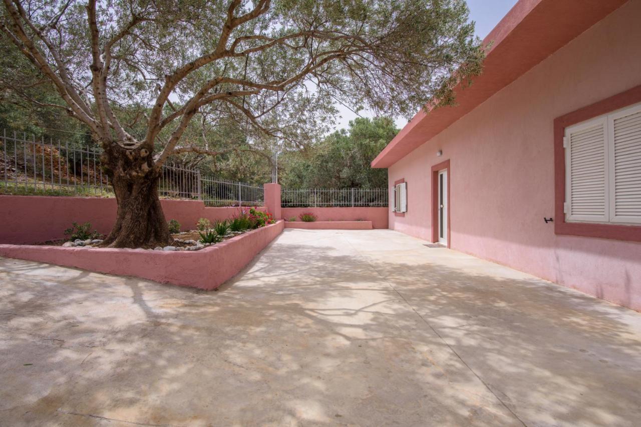 Palm Beach House Sfinárion Buitenkant foto
