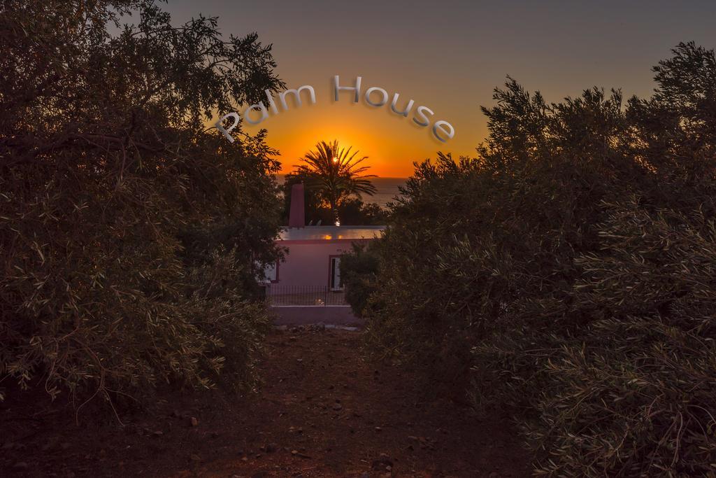 Palm Beach House Sfinárion Buitenkant foto