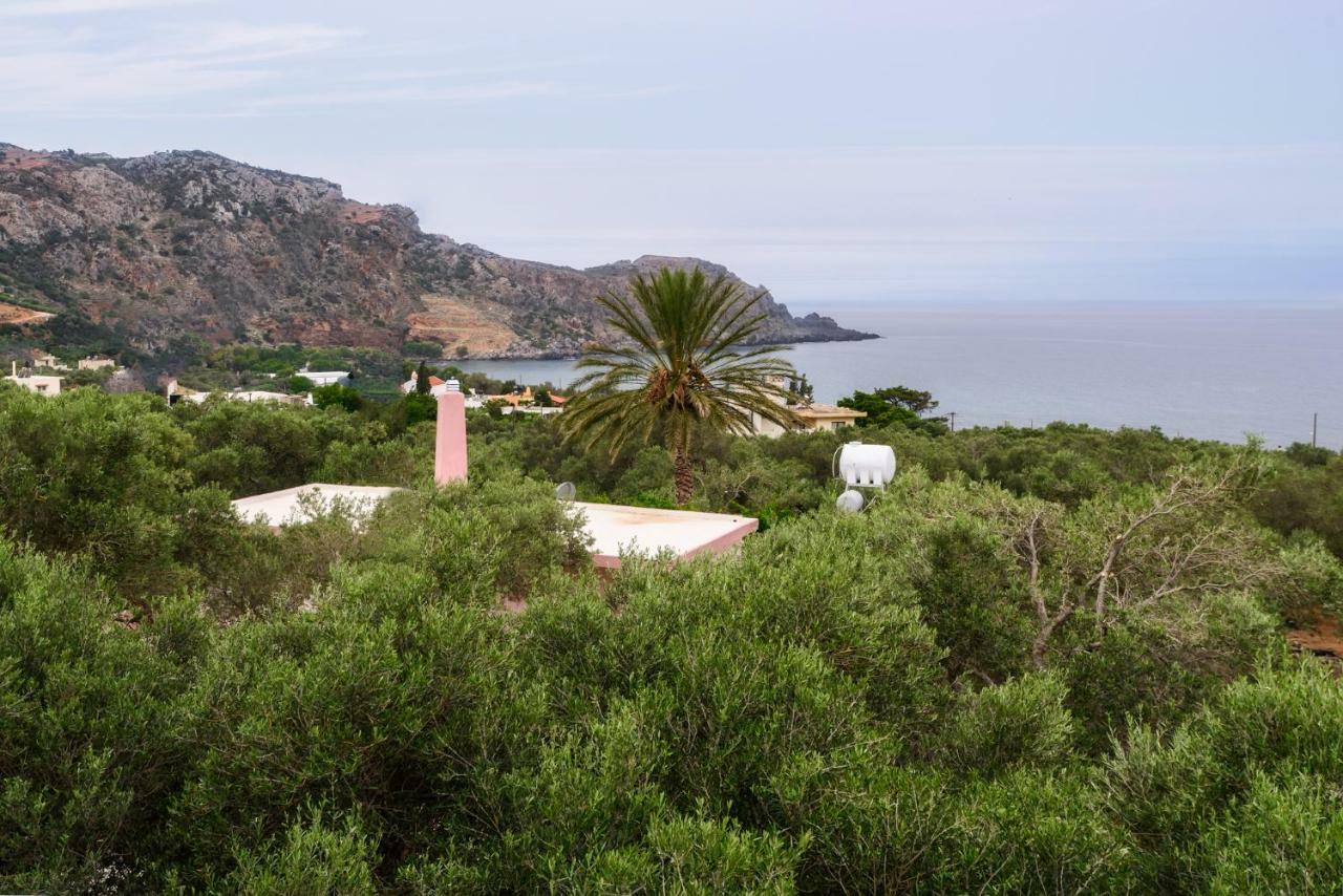 Palm Beach House Sfinárion Buitenkant foto